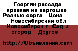 Георгин рассада крепкая на картошке. Разные сорта › Цена ­ 150 - Новосибирская обл., Новосибирск г. Сад и огород » Другое   